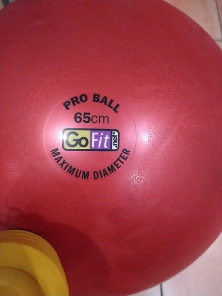 Photo of free Pro ball Go fit 65 cm (Royston SG8) #2