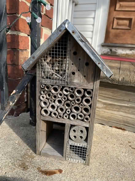 Photo of free bee hotel (Ball Square) #2