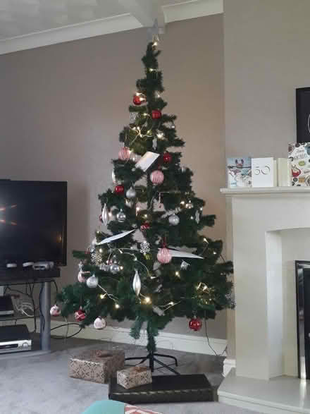Photo of free 6.5 foot Christmas tree (Bromborough Rake, CH62) #1