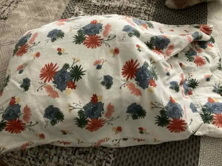 Photo of free Flannel Twin Sheets (Folsom) #1