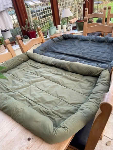 Photo of free 2 dog beds (Hallow WR2) #1