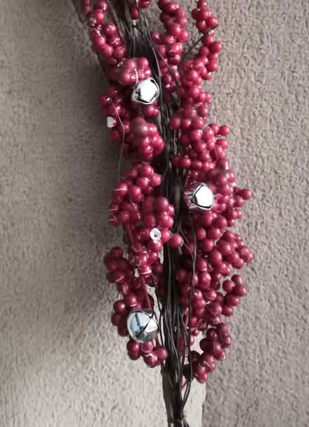 Photo of free Christmas Garland (Mickleover DE3) #1