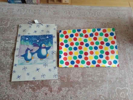 Photo of free Extra large gift bags (Mickleover DE3, Derby) #1