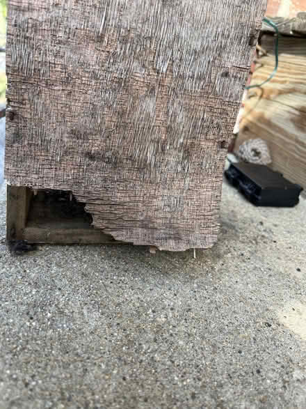 Photo of free bee hotel (Ball Square) #1