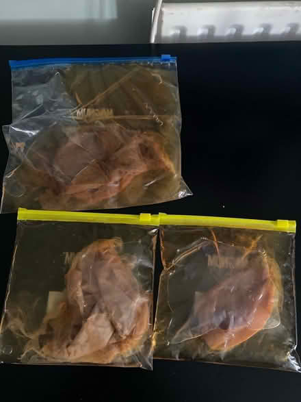 Photo of free Kombucha scoby and starter tea (L27) #1