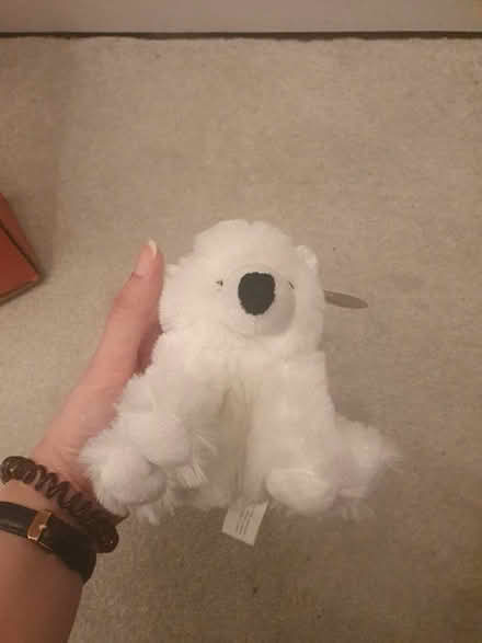 Photo of free Polar Bear Teddy (Becontree RM8) #3
