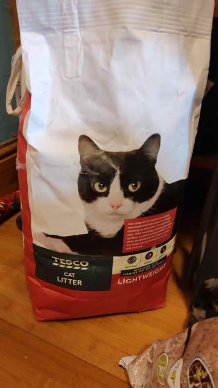 Photo of free Cat litter (East Ham E6) #1