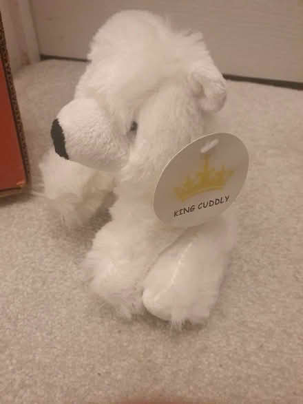 Photo of free Polar Bear Teddy (Becontree RM8) #2