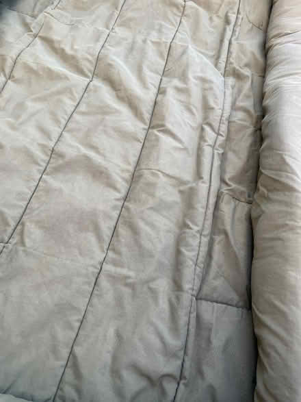 Photo of free 2 dog beds (Hallow WR2) #3
