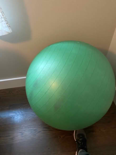 Photo of free Exercise ball (Cobble hill) #1