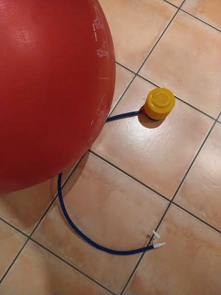 Photo of free Pro ball Go fit 65 cm (Royston SG8) #1