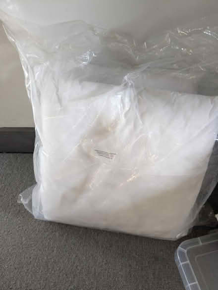 Photo of free Two 50x50cm cushions (Caldecott OX14) #1