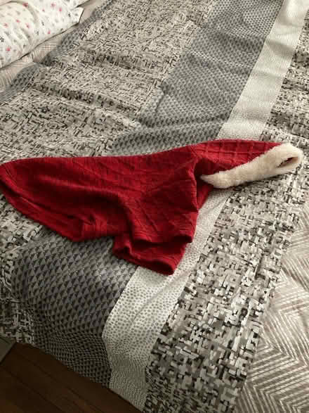 Photo of free Small dog sweater (Folsom) #1