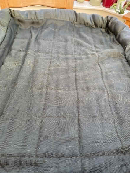 Photo of free 2 dog beds (Hallow WR2) #4