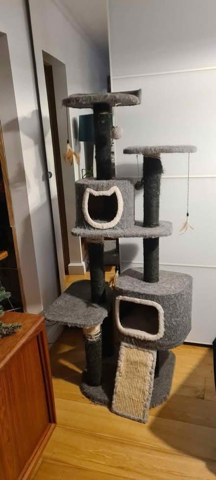 Photo of free cat tree (CR0 New Addington) #1