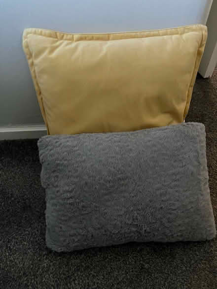 Photo of free Two pillows (L4 - Walton - Liverpool) #1