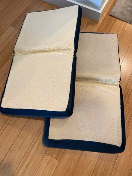 Photo of free Used foam cushions (South Boston) #1
