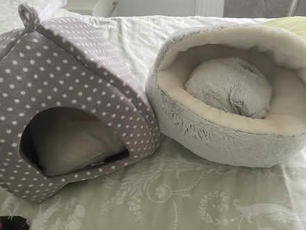 Photo of free Two kitten beds (Crossgates LS15) #1