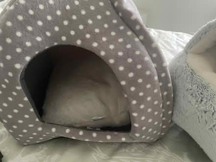 Photo of free Two kitten beds (Crossgates LS15) #2
