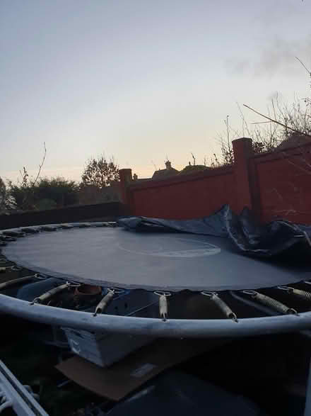 Photo of free Trampoline (Shoreham by sea BN43) #1