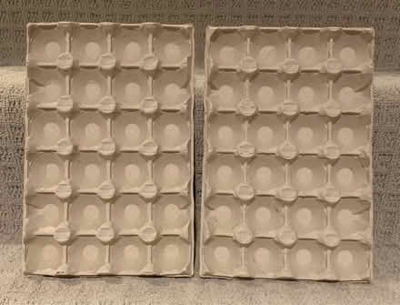 Photo of free Egg Carton Trays (flat) (Winston Churchill & Hwy 403) #1