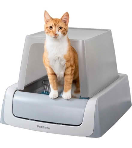 Photo of free PetSafe self-cleaning litter box (Bothell, near Fernwood Elem.) #1