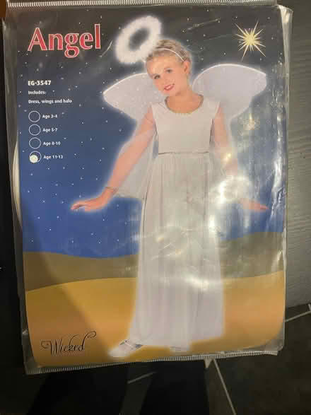 Photo of free Angel costume age 11-13 new (RH2 Reigate) #1