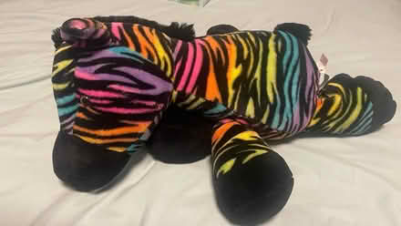 Photo of free Rainbow Zebra Stuffed Animal (Lake Merritt, Oakland) #1