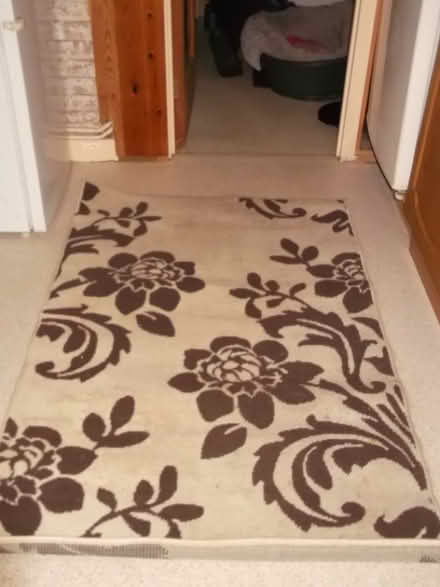 Photo of free Rug (Walton) #1
