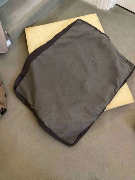 Photo of free Large dog’s bed (Wimbledon Park SW19) #3