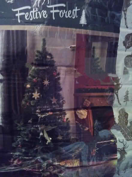 Photo of free Christmas Tree (Bury BL9) #1