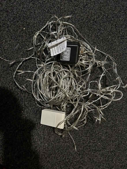 Photo of free Christmas Lights (Macmerry EH33) #1