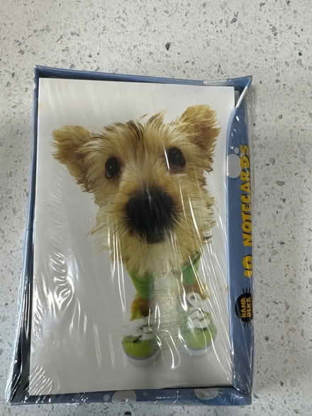 Photo of free Box of 10 note cards (Tamarac) #1