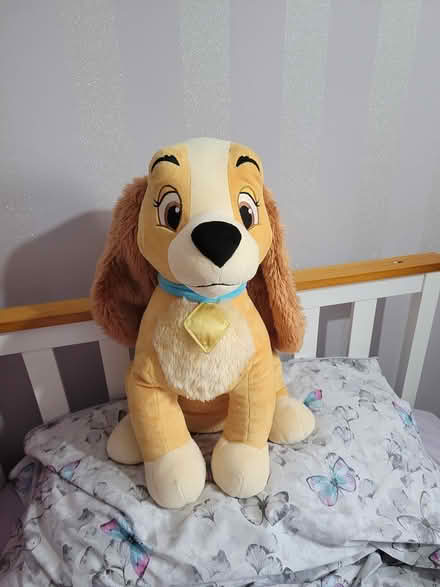 Photo of free Disney Lady (maidstone ME15) #1