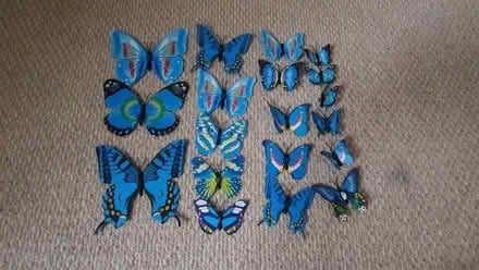 Photo of free Blue butterfly decorations (E8 London Fields) #1