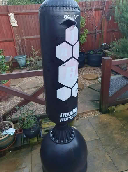 Photo of free Punch bag (Shoreham by sea BN43) #1