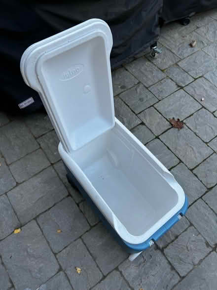 Photo of free Cooler (Willows) #1