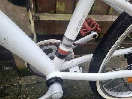 Photo of free Bike (B16 Edgbaston Birmingham) #2