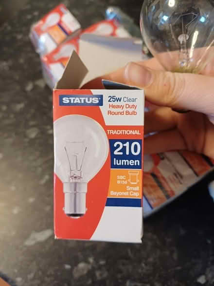 Photo of free Small light bulbs (New Town CO1) #1