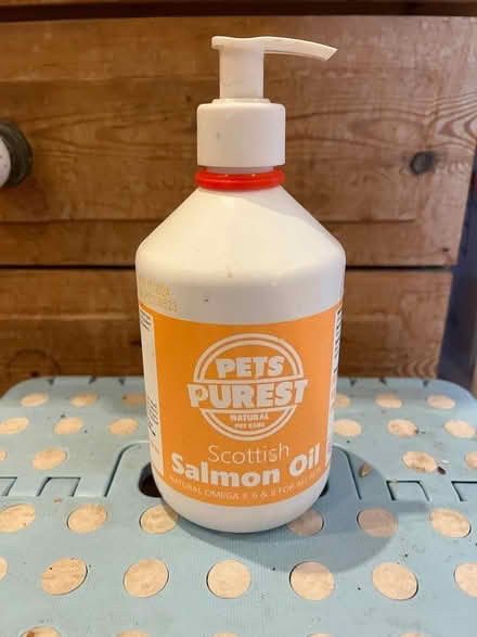 Photo of free Salmon oil for cats (Eastbourne BN21) #1
