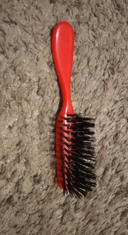 Photo of free Prickly brush (Kensington) #1