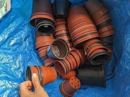 Photo of free Plant pots (Golders green NW11) #1