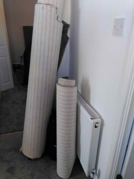 Photo of free Carpet (EX4) #1