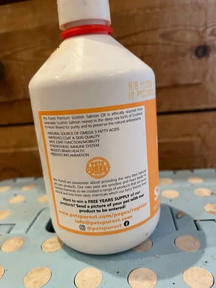 Photo of free Salmon oil for cats (Eastbourne BN21) #2