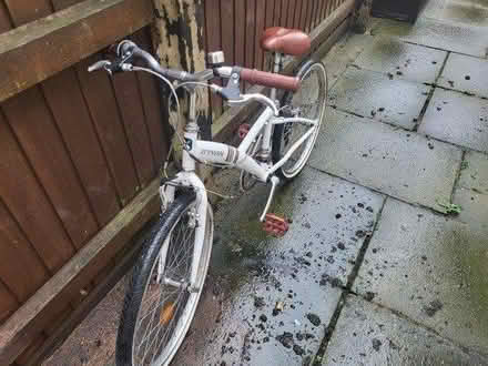 Photo of free Bike (B16 Edgbaston Birmingham) #3