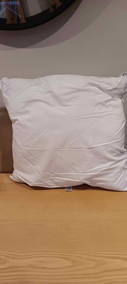 Photo of free Cushion Pad (Lower Walkley S6) #2