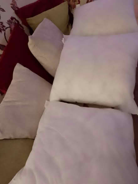 Photo of free 3 Cushion Inners For 55cm Covers (ME9) #1