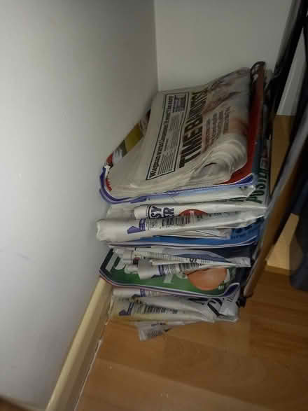 Photo of free Clean newspapers (Sheddingdean RH15) #1