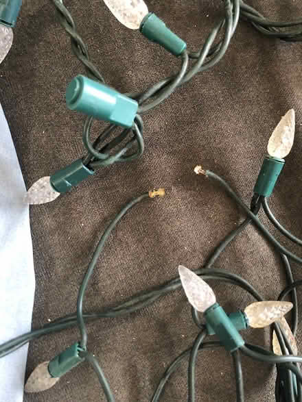Photo of free 300+ LED white xmas lights fixable? (Kitchener) #2
