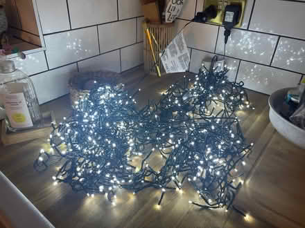 Photo of free Christmas lights (Bedford) #1